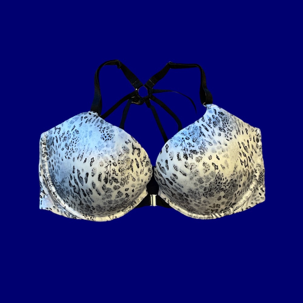 COPY - Victoria’s Secret padded push up bra